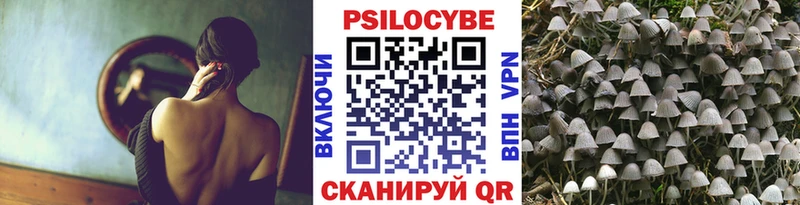 Псилоцибиновые грибы прущие грибы  Фёдоровский 